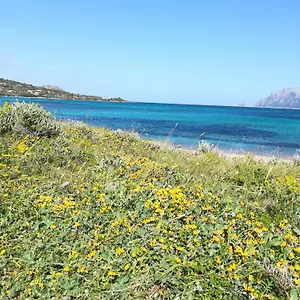 https://stanza-al-lungomare.in-sardinia.net