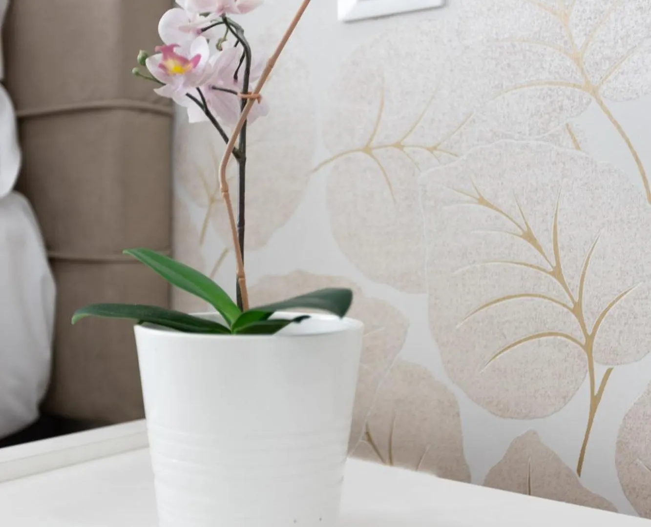 247 Luxury Rooms Trastevere Roma